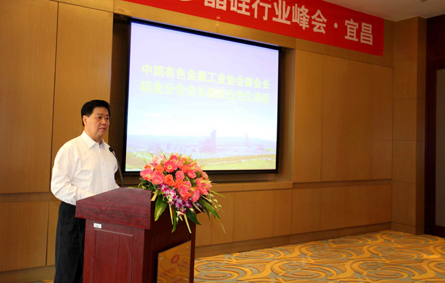 中国有色金属工业协会赵家生副会长讲话